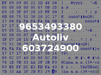 9653493380 Autoliv 603724900