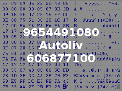 9654491080 Autoliv 606877100