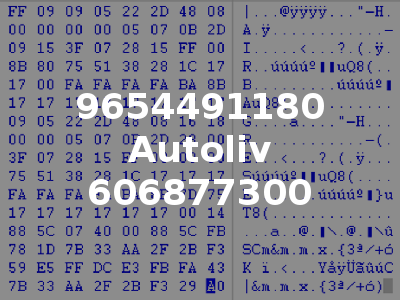 9654491180 Autoliv 606877300