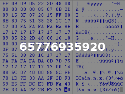 65776935920