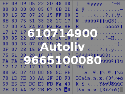 610714900 Autoliv 9665100080