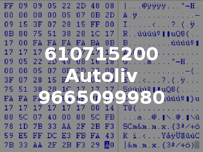 610715200 Autoliv 9665099980