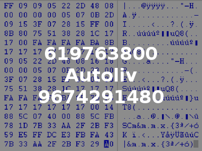619763800 Autoliv 9674291480