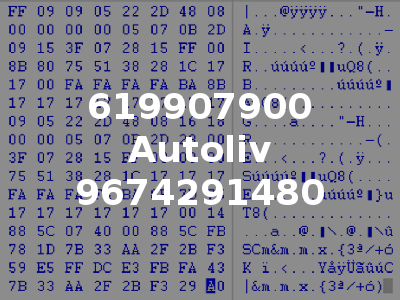 619907900 Autoliv 9674291480