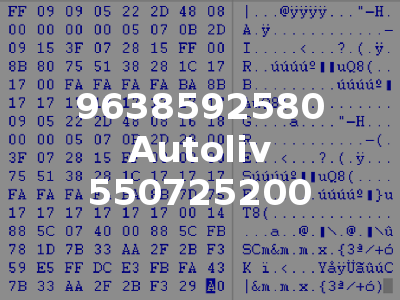9638592580 Autoliv 550725200