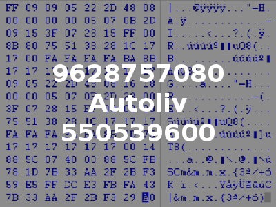 9628757080 Autoliv 550539600