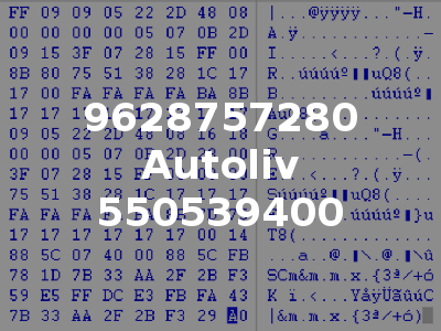 9628757280 Autoliv 550539400