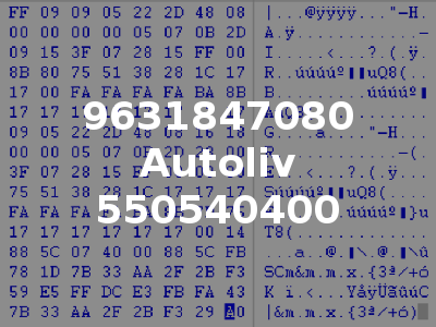 9631847080 Autoliv 550540400