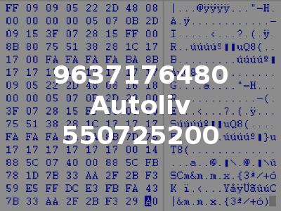 9637176480 Autoliv 550725200