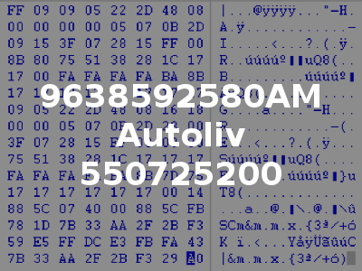 9638592580AM Autoliv 550725200
