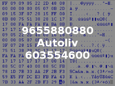 9655880880 Autoliv 603554600