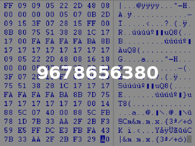 9678656380