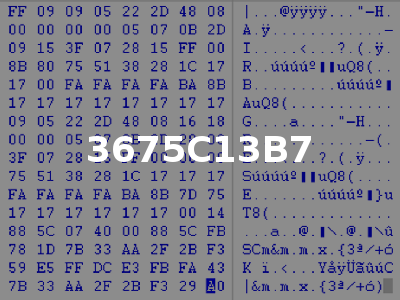 3675C13B7