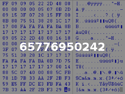 65776950242