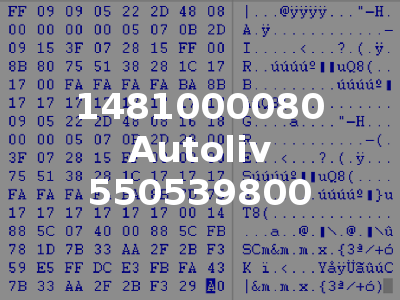 1481000080 Autoliv 550539800