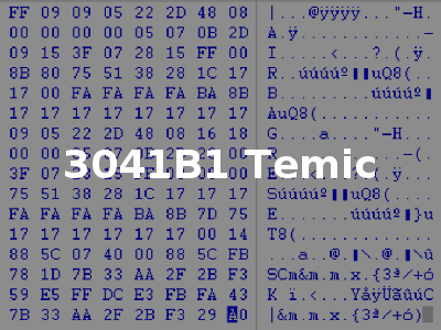 3041B1 Temic