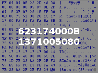 623174000B 1371005080