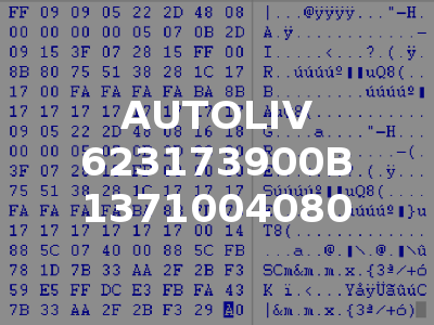 AUTOLIV 623173900B 1371004080