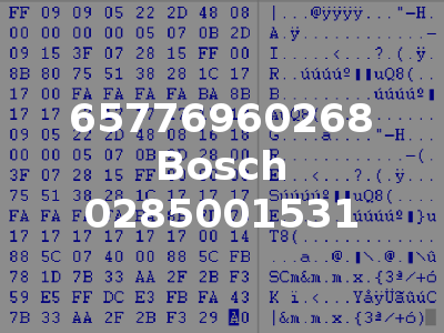 65776960268 Bosch 0285001531