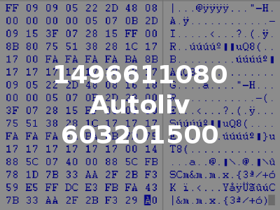 1496611080 Autoliv 603201500