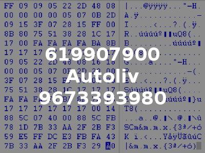 619907900 Autoliv 9673393980