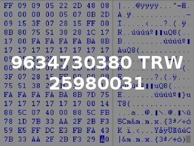 9634730380 TRW 25980031