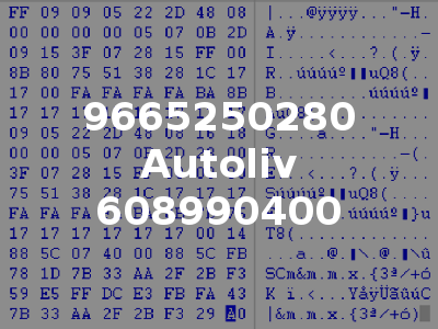 9665250280 Autoliv 608990400