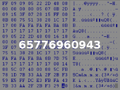 65776960943