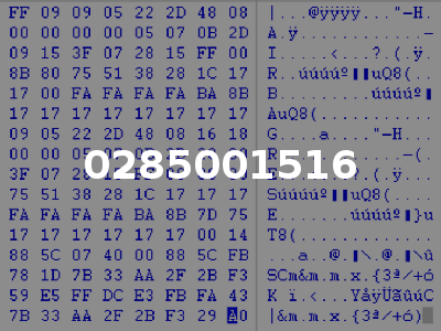 0285001516