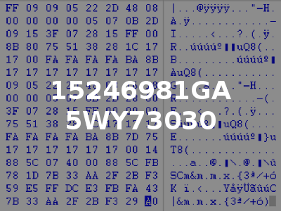 15246981GA 5WY73030