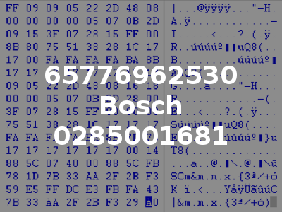 65776962530 Bosch 0285001681
