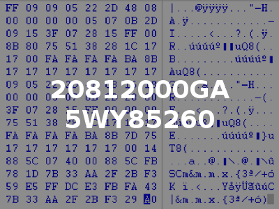 20812000GA 5WY85260