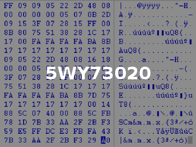 5WY73020