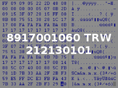 8917001060 TRW 212130101