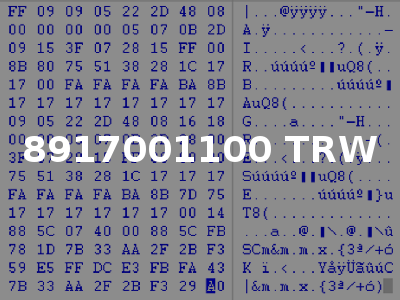 8917001100 TRW