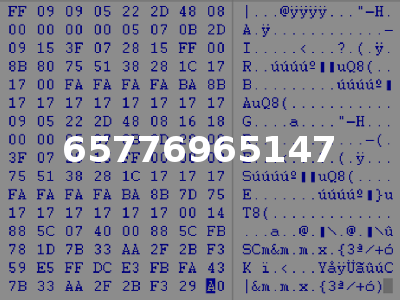 65776965147