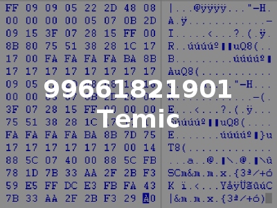 99661821901 Temic