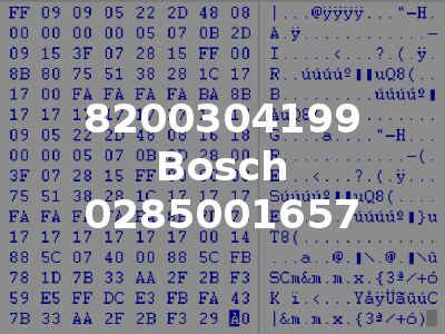 8200304199 Bosch 0285001657
