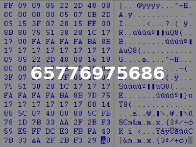 65776975686