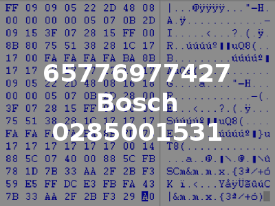 65776977427 Bosch 0285001531