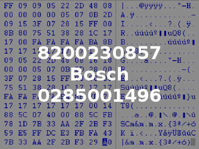 8200230857 Bosch 0285001496