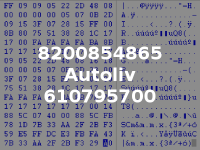 8200854865 Autoliv 610795700