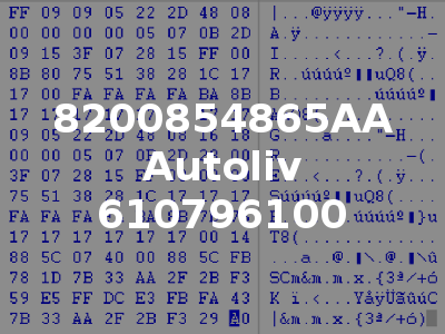 8200854865AA Autoliv 610796100