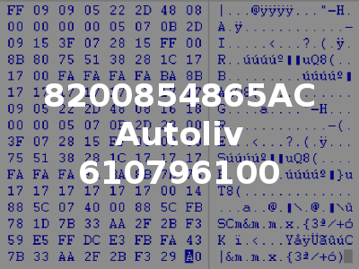 8200854865AC Autoliv 610796100