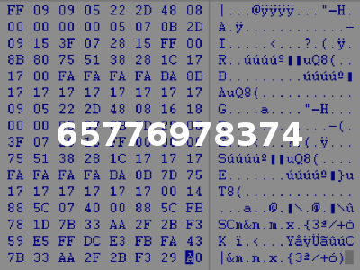 65776978374