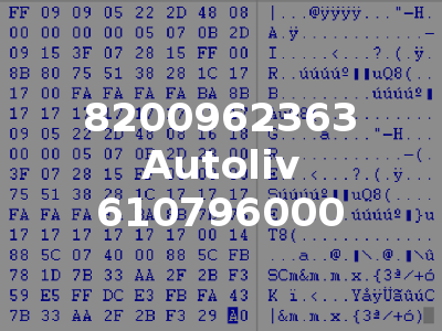 8200962363 Autoliv 610796000