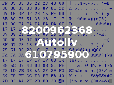 8200962368 Autoliv 610795900