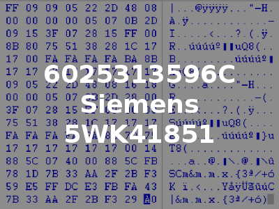 6025313596C Siemens 5WK41851