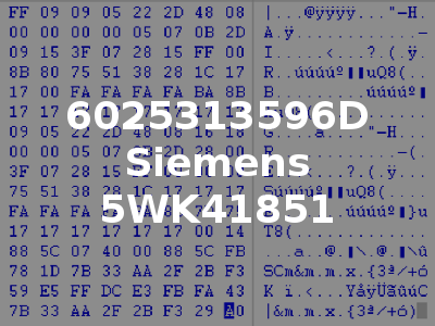 6025313596D Siemens 5WK41851