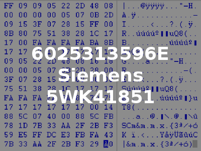 6025313596E Siemens 5WK41851